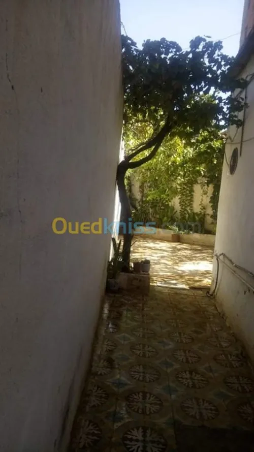 Vente Terrain Aïn Defla Miliana