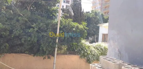 Vente Carcasse Oran Oran