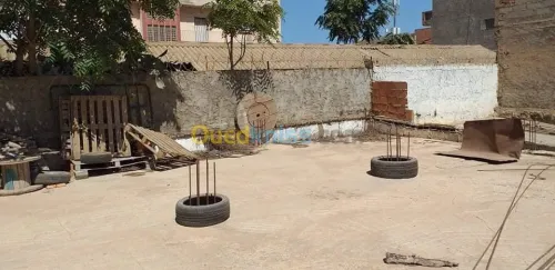 Vente Carcasse Oran Oran