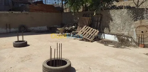 Vente Carcasse Oran Oran