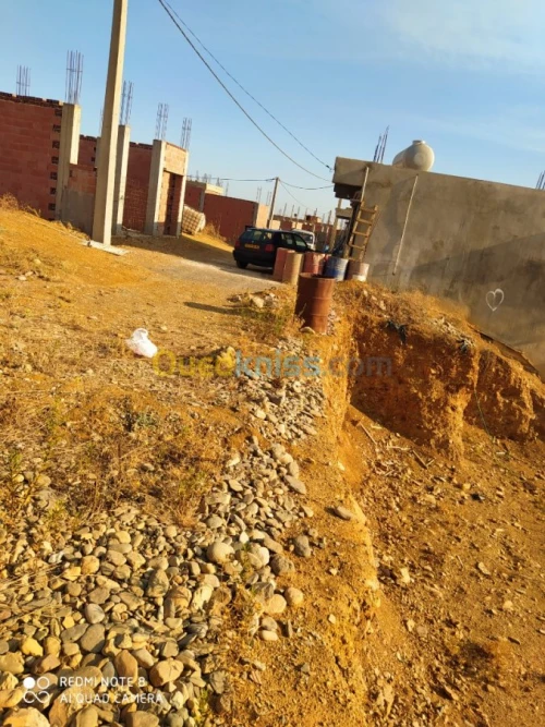 Vente Terrain Blida Mouzaia