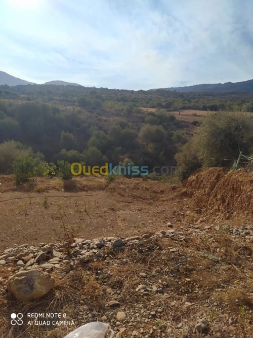 Vente Terrain Blida Mouzaia