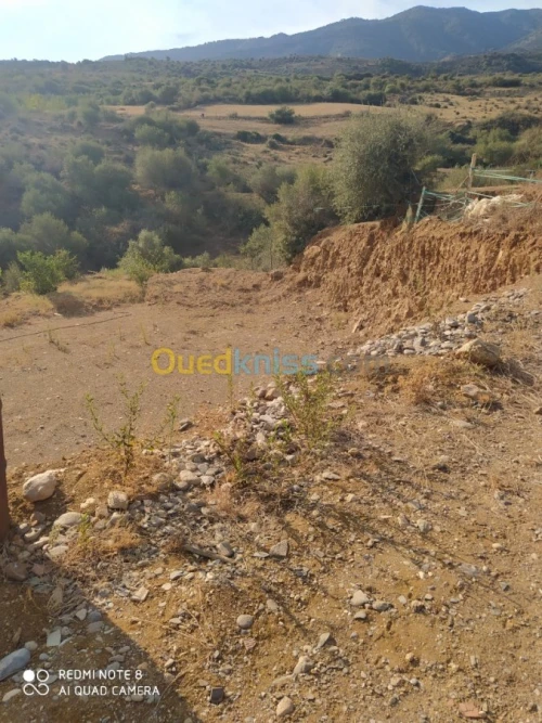 Vente Terrain Blida Mouzaia