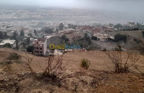 Vente Terrain Blida Bouarfa