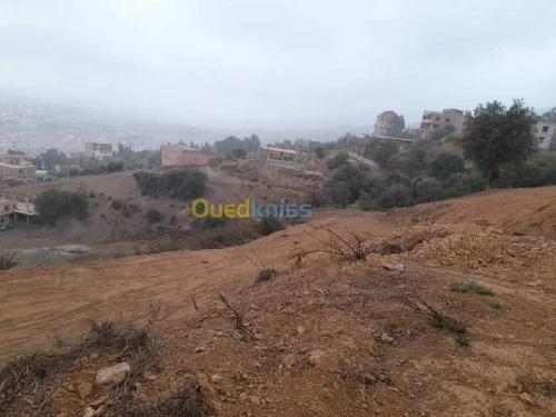 Vente Terrain Blida Bouarfa