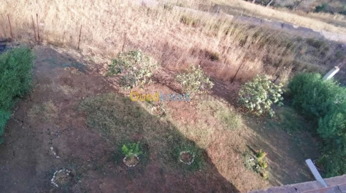 Vente Villa Constantine Zighoud youcef