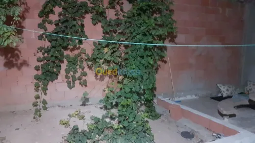Vente Appartement F3 Sidi bel abbes Sidi yacoub