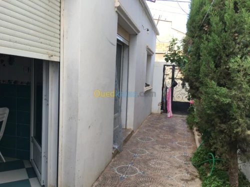 Vente Bungalow Mostaganem Sidi lakhdaara