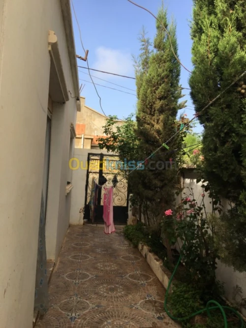 Vente Bungalow Mostaganem Sidi lakhdaara