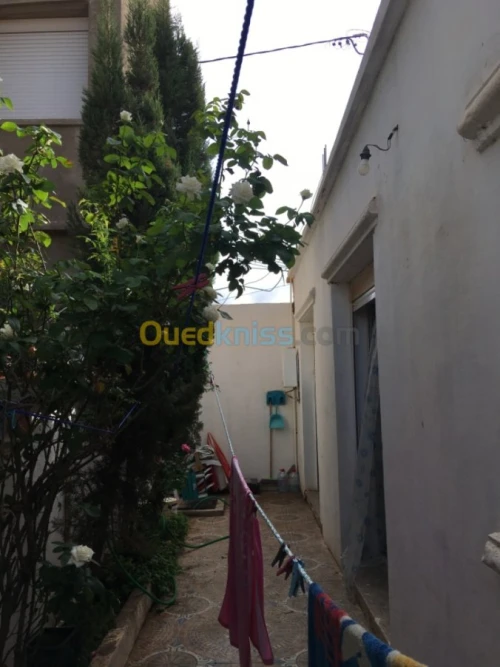 Vente Bungalow Mostaganem Sidi lakhdaara