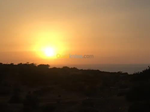 Vente Bungalow Mostaganem Sidi lakhdaara
