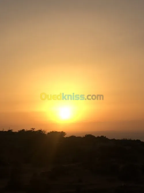 Vente Bungalow Mostaganem Sidi lakhdaara
