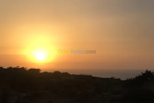 Vente Bungalow Mostaganem Sidi lakhdaara