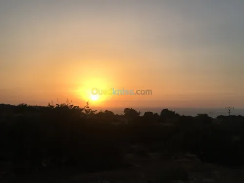 Vente Bungalow Mostaganem Sidi lakhdaara