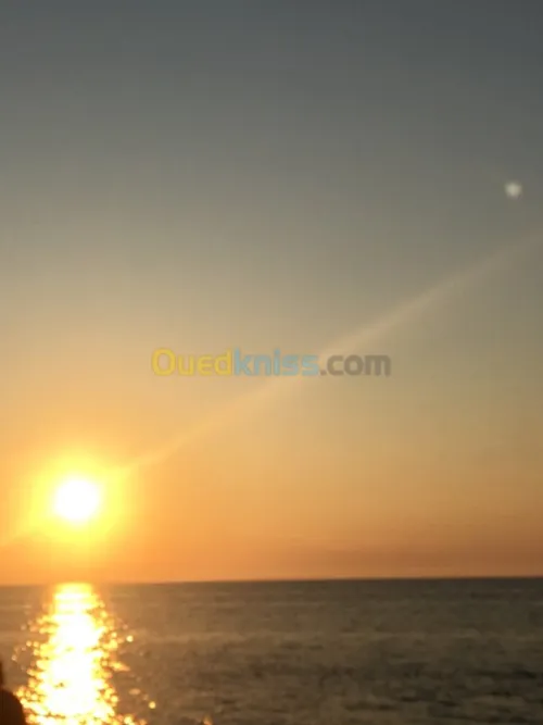 Vente Bungalow Mostaganem Sidi lakhdaara