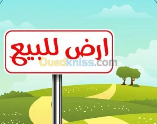 Vente Terrain Blida Larbaa