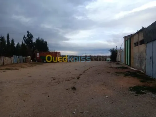 Vente Terrain Agricole Batna Ain djasser