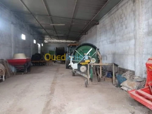 Vente Terrain Agricole Batna Ain djasser