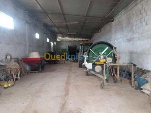 Vente Terrain Agricole Batna Ain djasser