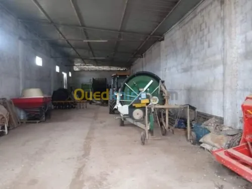 Vente Terrain Agricole Batna Ain djasser