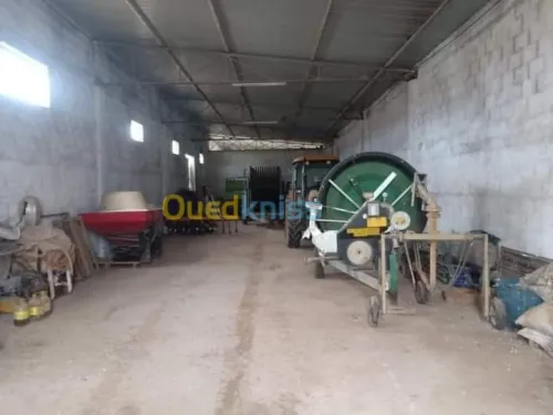 Vente Terrain Agricole Batna Ain djasser