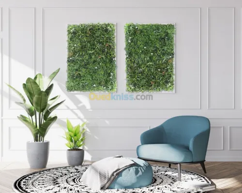 MUR VEGETAL ARTIFICIEL ALGERIE 