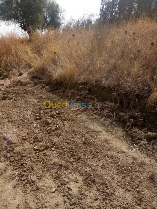 Vente Terrain Bouira Aomar
