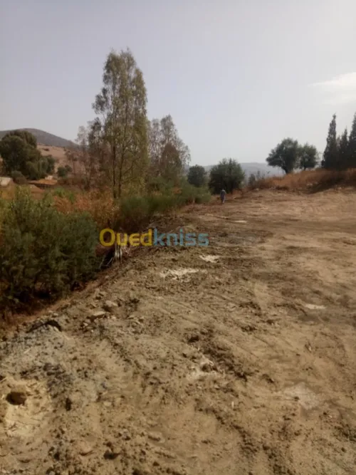 Vente Terrain Bouira Aomar