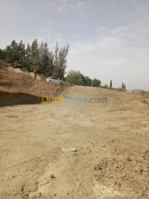 Vente Terrain Bouira Aomar