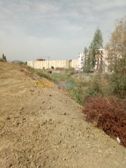 Vente Terrain Bouira Aomar