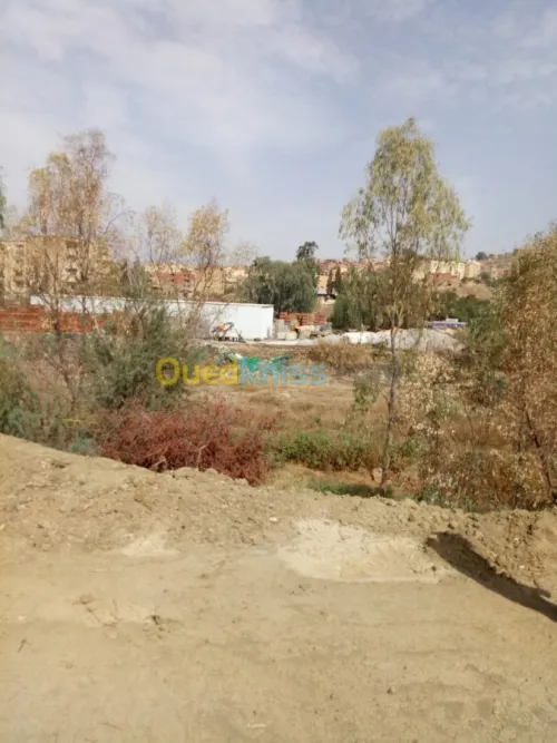 Vente Terrain Bouira Aomar