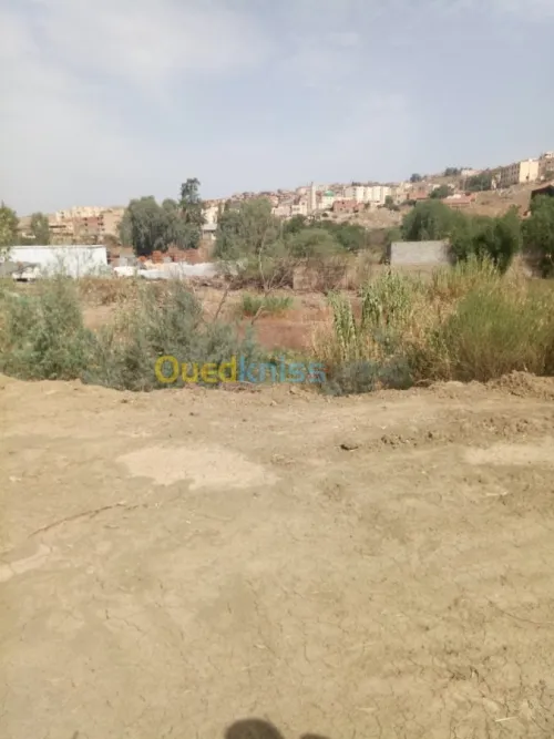 Vente Terrain Bouira Aomar