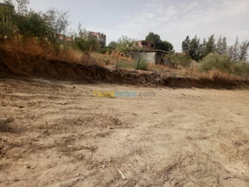 Vente Terrain Bouira Aomar