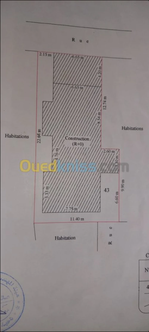 Vente Terrain Alger Bachdjerrah