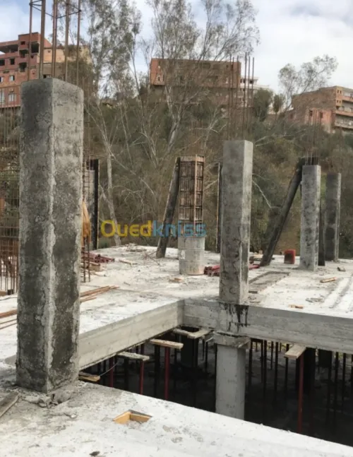 Travaux batiment TCE et decoration 