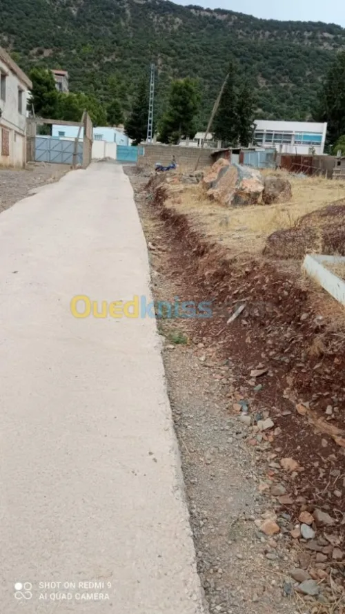 Vente Terrain Setif Guenzet