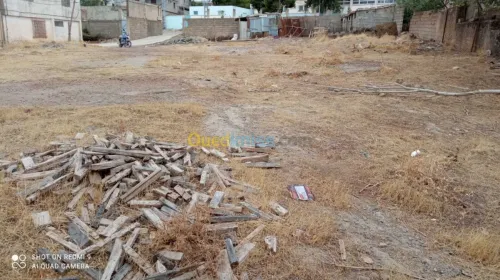 Vente Terrain Setif Guenzet