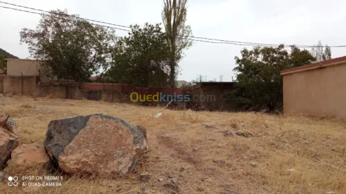 Vente Terrain Setif Guenzet