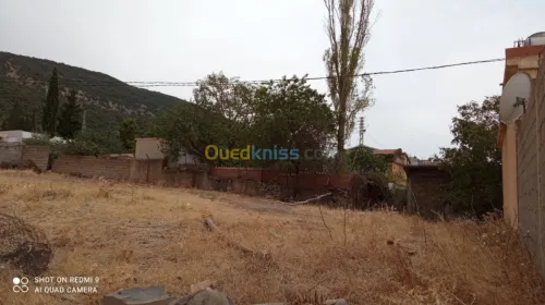 Vente Terrain Setif Guenzet