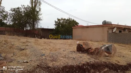 Vente Terrain Setif Guenzet