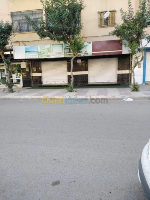 Location Local Sidi bel abbes Sidi bel abbes