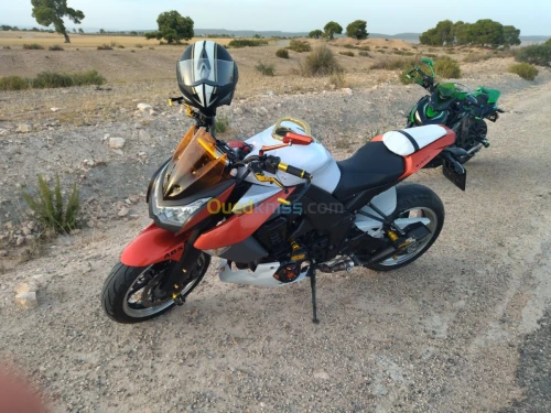 kawasaki Z1000 sauvage