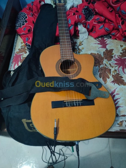 Guitar Nylon Ibanez G5ECE