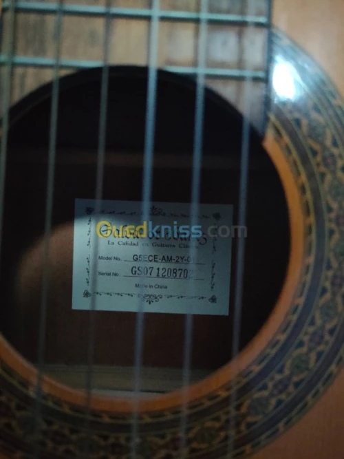 Guitar Nylon Ibanez G5ECE