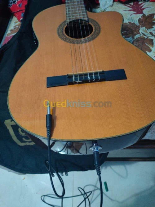 Guitar Nylon Ibanez G5ECE