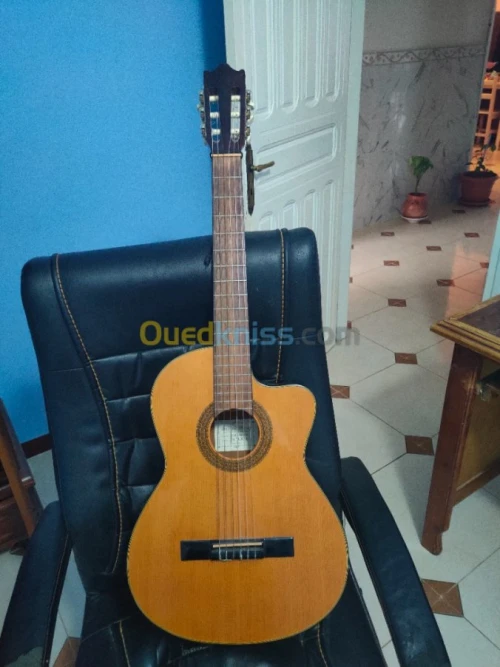 Guitar Nylon Ibanez G5ECE