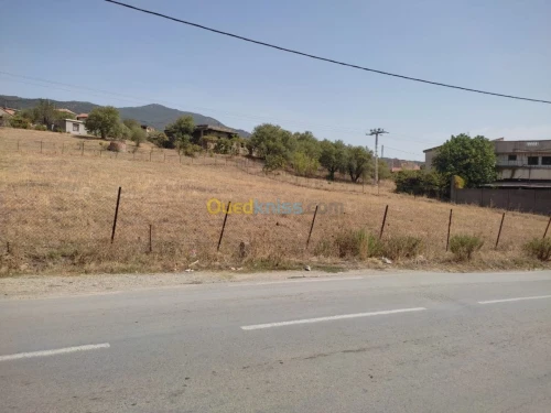 Vente Terrain Tizi ouzou Aghrib