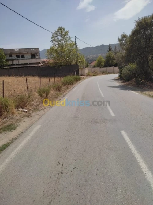 Vente Terrain Tizi ouzou Aghrib