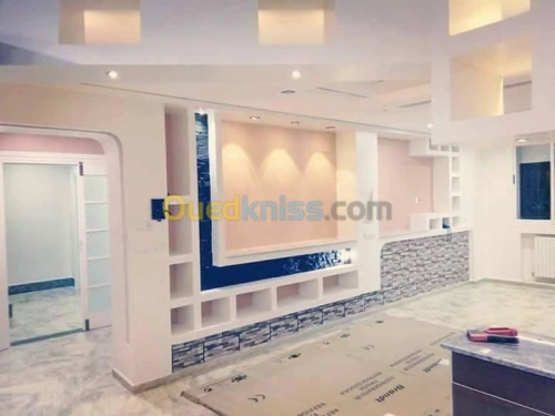 PLACOPLÂTRE 0782412678