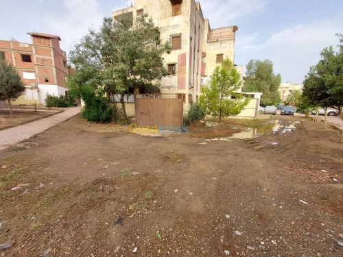 Vente Appartement F5 Blida Larbaa